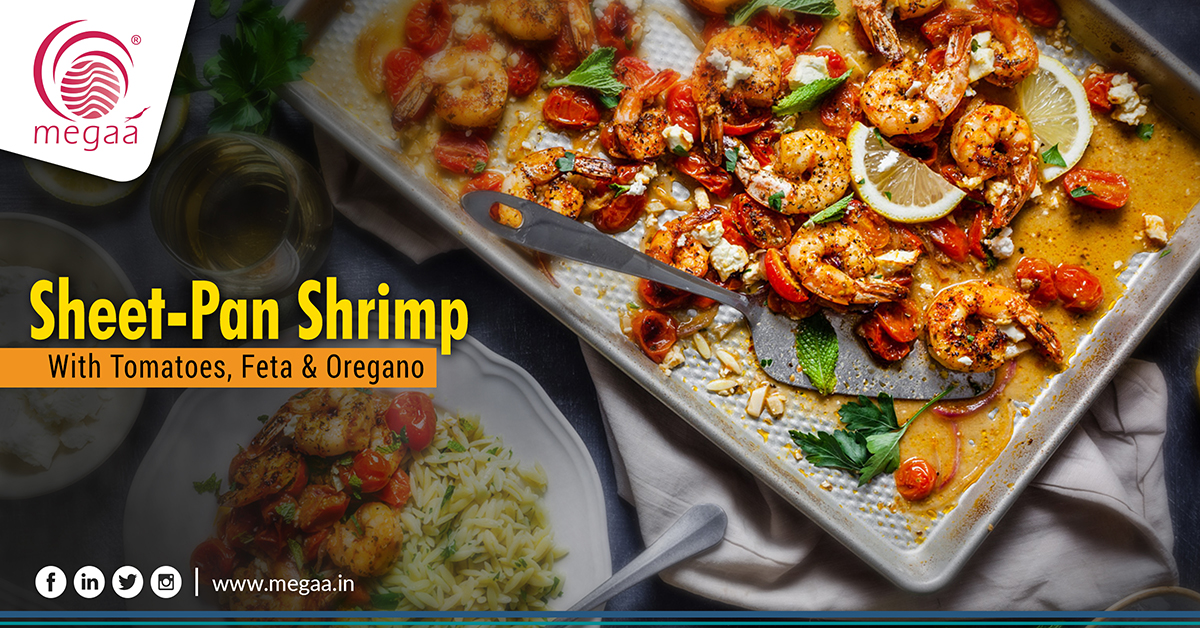 shrimp exporters